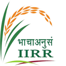 IIRR logo